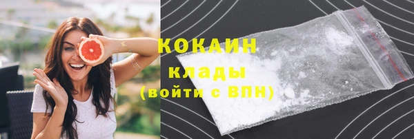мдпв Коряжма