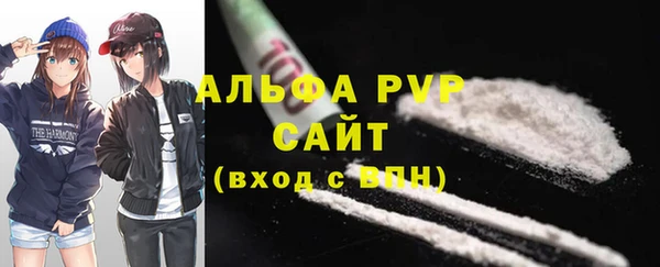 гидра Костерёво