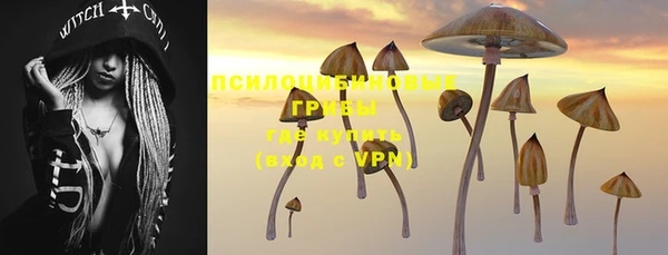 мдпв Коряжма