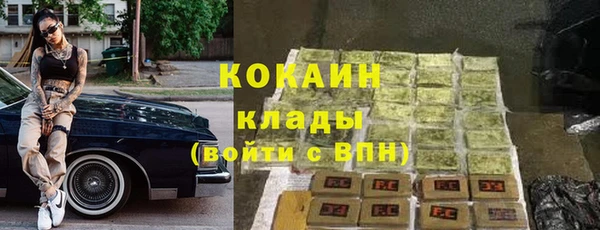 мдпв Коряжма