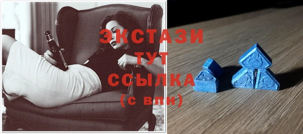 гидра Костерёво
